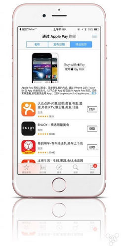 ApplePay