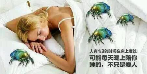 񴲉|^l(f)ԽԽࣿeţx֣(D7)