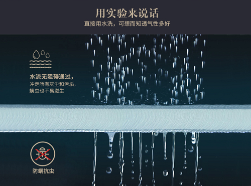 񼯈F˯X۳ôx|Խ˯Խˬ(D5)