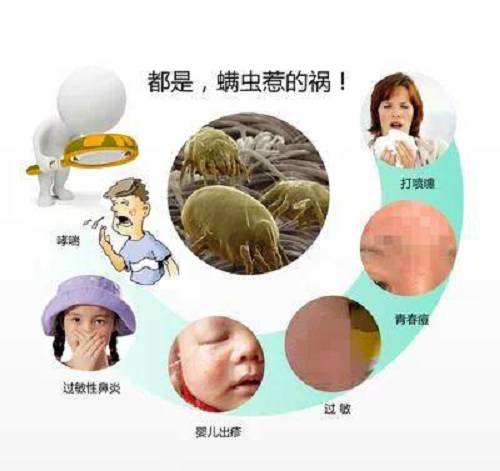 񴲉|^l(f)ԽԽࣿeţx֣(D2)